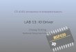 LAB 13: IO Driver
