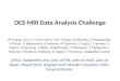DCE-MRI Data Analysis Challenge