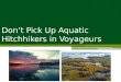 Don’t Pick Up Aquatic Hitchhikers in Voyageurs