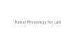 Renal Physiology for Lab