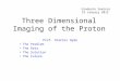 Three Dimensional Imaging of the Proton