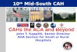 CAHs the ACA and Beyond John T. Supplitt, Senior Director AHA Section for Small or Rural Hospitals