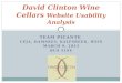 David Clinton Wine Cellars  Website Usability Analysis