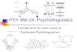 PSY  480.24:  Psycholinguistics