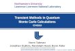 Transient Methods in Quantum Monte Carlo Calculations 7/24/2010