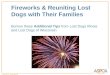 Fireworks & Reuniting Lost Dogs with Their  Families Borrow these  Additional  Tips  from Lost  Dogs  Illinois and Lost Dogs of Wisconsin