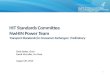 HIT Standards Committee NwHIN  Power Team  Transport Standards  for Consumer  Exchanges:  Preliminary