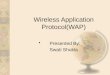 Wireless Application Protocol(WAP)