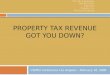 Property Tax Revenue Got you down?