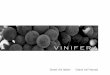 Catalogo On Line 2010 Vinifera