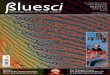 BlueSci Issue 16 - Michaelmas 2009