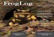 Froglog 109