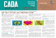 CADA January Newsletter