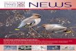 Isle of Man Stamps & Coins News 134