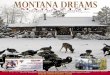 Montana Dreams Billings Beta January 2011