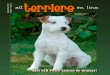 All Terriers On Line Sept. 2011