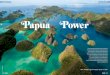 Papua Power