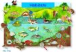 Habitat - Phi Phi Leung