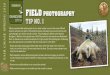 Swarovski Field Photo Tips