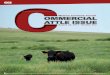 Commercial Cattle Issue 2011