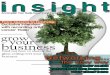 Providing Insight Magazine