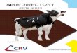 CRV USA 2012-2013 Sire Directory