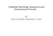 OVERVIEW  OF CASHEW RESEARCH AT CRIG (Usbert)