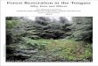 Forest Restoration in the Tongass