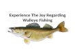 Experience The Joy Regarding Walleye Fishing