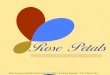 Rose Petals shapes in font pack 161 examples