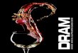 DRAM Suppliers Guide 2012