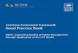 Common assessment framework: Good practice book