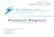 Project Report "The Hague 2013"