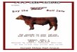 JAS Red Angus Bull Sale