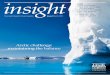 Insight issue 4, 1/2012
