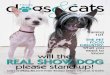 texas dogs and cats july 011