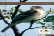IWJV 2013 Implementation Plan Chapter 7: Landbirds
