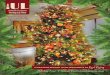 Urban Liaison Holiday Issue