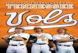 2010 Tennessee Baseball Guide
