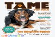 TAME Pet Mag STL Spring 2012