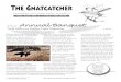 The Gnatcatcher, Vol. XLVI, No. 2 — Mar/Apr 2014