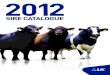LIC USA Catalogue 2012
