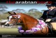 The Arabian Horse Online - June 2011