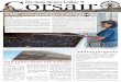 The Corsair - Fall 2010, Issue 9