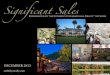 Significant Sales - December 2012