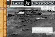 Land and Livestock January