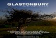 Glastonbury: Isle of Light Media Kit