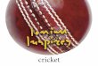 Ionian Inspires Cricket 2009