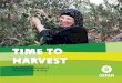 Photo book: Time to Harvest - the story of Palestinian olive farmers