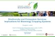 Biodiversity and Ecosystem Services: Implications of Future Bioenergy Cropping Systems